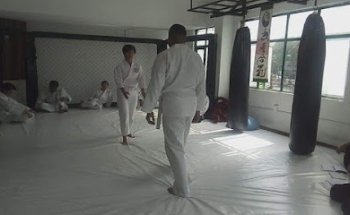 Aikido Shosenjuku Dojo Zona Centro