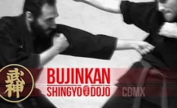 Bujinkan Shingyo Dojo - Artes marciales japonesas