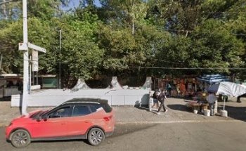 Genbukan Ninjutsu Viveros de Coyoacán