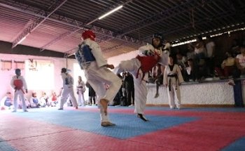 Jeonsa Axolotl Taekwondo