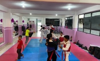 OLLIN TAEKWONDO “TZILACATZIN”