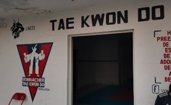 Taekwondo Vonnacher Revolución