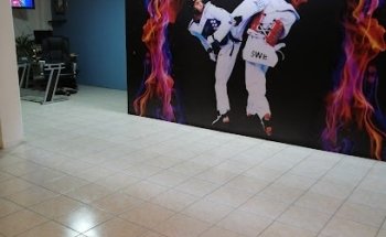 Centro de Iniciación Deportiva y Alto Rendimiento Taekwondo