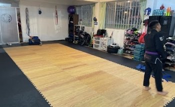 Academia SHARK México