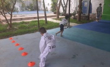 Academias Gallos Mulchechen