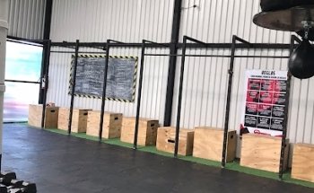 Real Fighters México