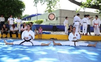 SHINDO KAN CHIAPAS KARATE DO TAI CHI