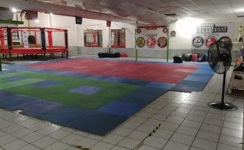 Artes Marciales Mixtas 