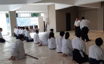 Aikido Bushin Dojo Central. Lindavista. Aikido & Daito Ryu.
