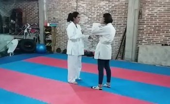 Pitbulls Martial Arts