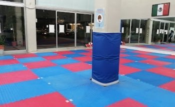 JEONG SHIN MOO LAS FUENTES TAEKWONDO