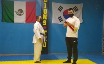 Lions z. Taekwondo