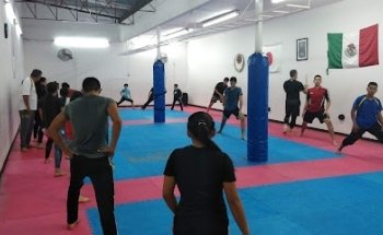 escuela de Karate-do Shoto-kan