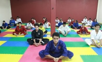 Dojo Astilleros