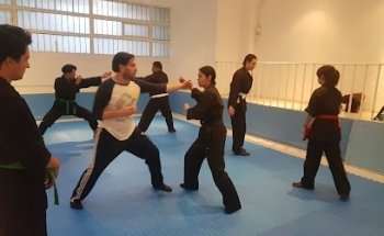 Bujinkan Ninjutsu México