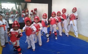 Taekwondo/BYK hapkido