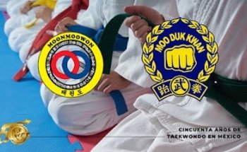 Taekwondo centro