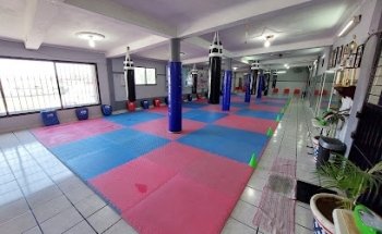 UTA TAE KWON DO CHIMALHUACAN