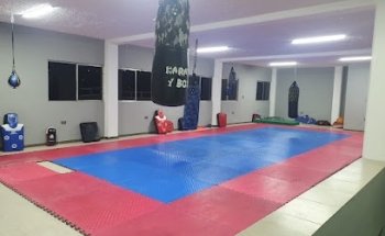 Moo Do Chon Sin San Jeronimo Taekwondo