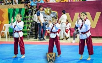 TAE KWON DO TIGRES