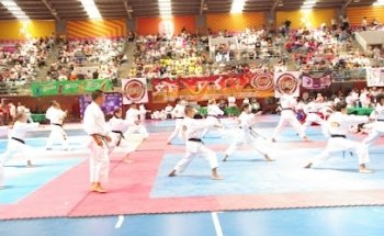 Karate Kihon