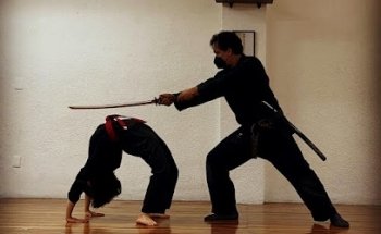 Ninjutsu tradicional Bujinkan Kanno Dojo