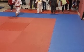 Escuela Nacional de Tae Kwon Do Ave Fenix Nueva Atzacoalco. Profesor Hector Arcos H