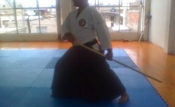 Aikido Mexico 