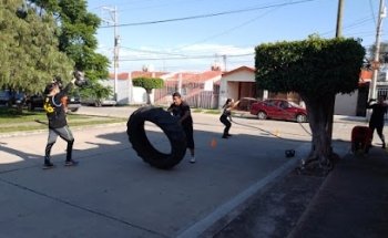 Bushido Black Dragon