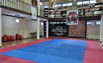 KARATE DO KIM Karate Interdisciplinario Mexicano