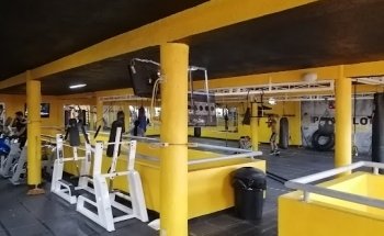 Sport Gym Papa Milo