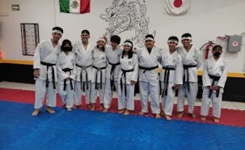 Sei Shin Kan Karate Do