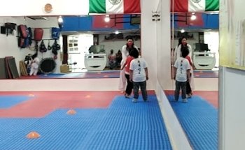 Osos Taekwondo