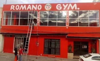 Instituto Romano Muay Thai