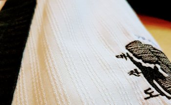 ELITE DE TAEKWONDO MARCIAL DE MEXICO PRADERA