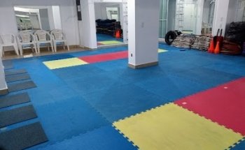 Kyeongju Leones Blancos Taekwondo