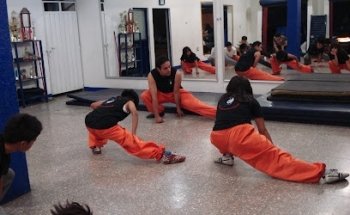 Tao Long Kung Fu FCCKF