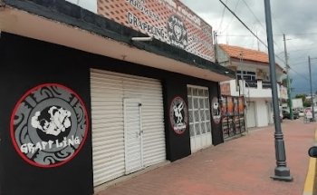 ARTES MARCIALES MIXTAS TEAM FALCON