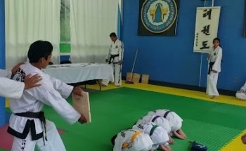 International taekwon-do Federation