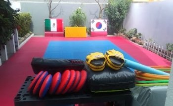Taekwondo La Paz Tampico