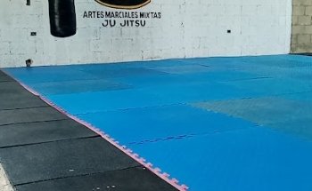 Kung do Lama av.20de noviembre