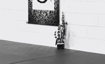 Tendoryu Aikido - Seikoukan