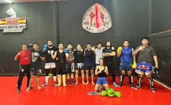 Mma Brother´Smuay Thai Vale Judo