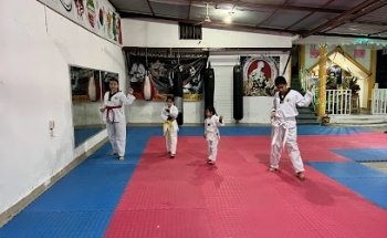 INSTITUTO DE ARTES MARCIALES JAGUARES BERISANZ