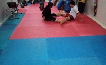 Academia De MMA free style