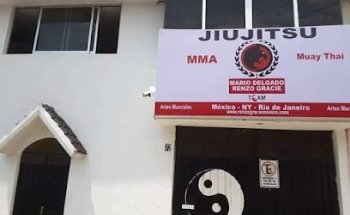 Renzo Gracie Puebla