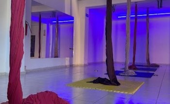 Pole & Friends Studio