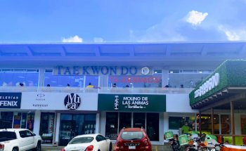 Elite de Taekwondo Plaza Europa