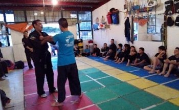 Garra De Águila veracruz