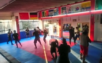 Instituto De Artes Marciales Mixtas Del Oriente